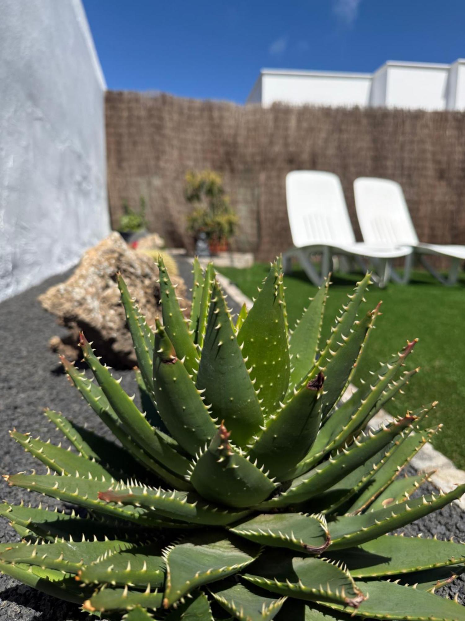 Apartmán Casa Cira La Costa Exteriér fotografie